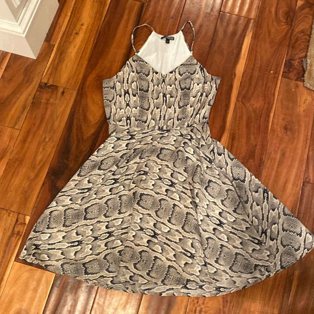Beautiful Express Dress